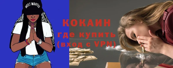 ПСИЛОЦИБИНОВЫЕ ГРИБЫ Кукмор