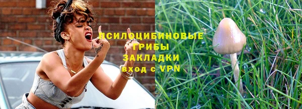 ГАЛЛЮЦИНОГЕННЫЕ ГРИБЫ Домодедово