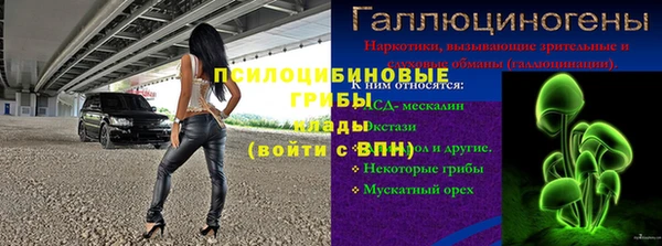 2c-b Краснослободск