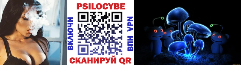 где купить наркотик  Сычёвка  Галлюциногенные грибы мухоморы 